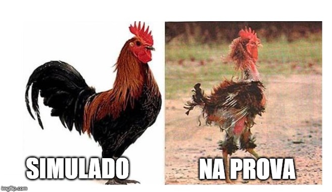 Simulado X Na Prova